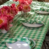 Discount Heather Taylor Home Gingham Lime Napkins