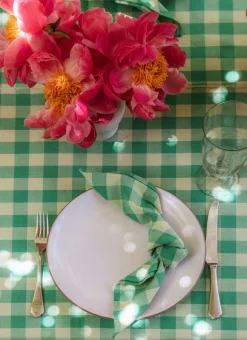 Discount Heather Taylor Home Gingham Lime Napkins