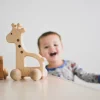 Hot Bannor Toys Giraffe Push Toy