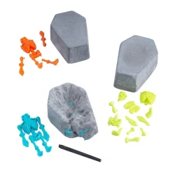 Best Fun Express Halloween Dig It Up Skeleton Coffin Party Favor