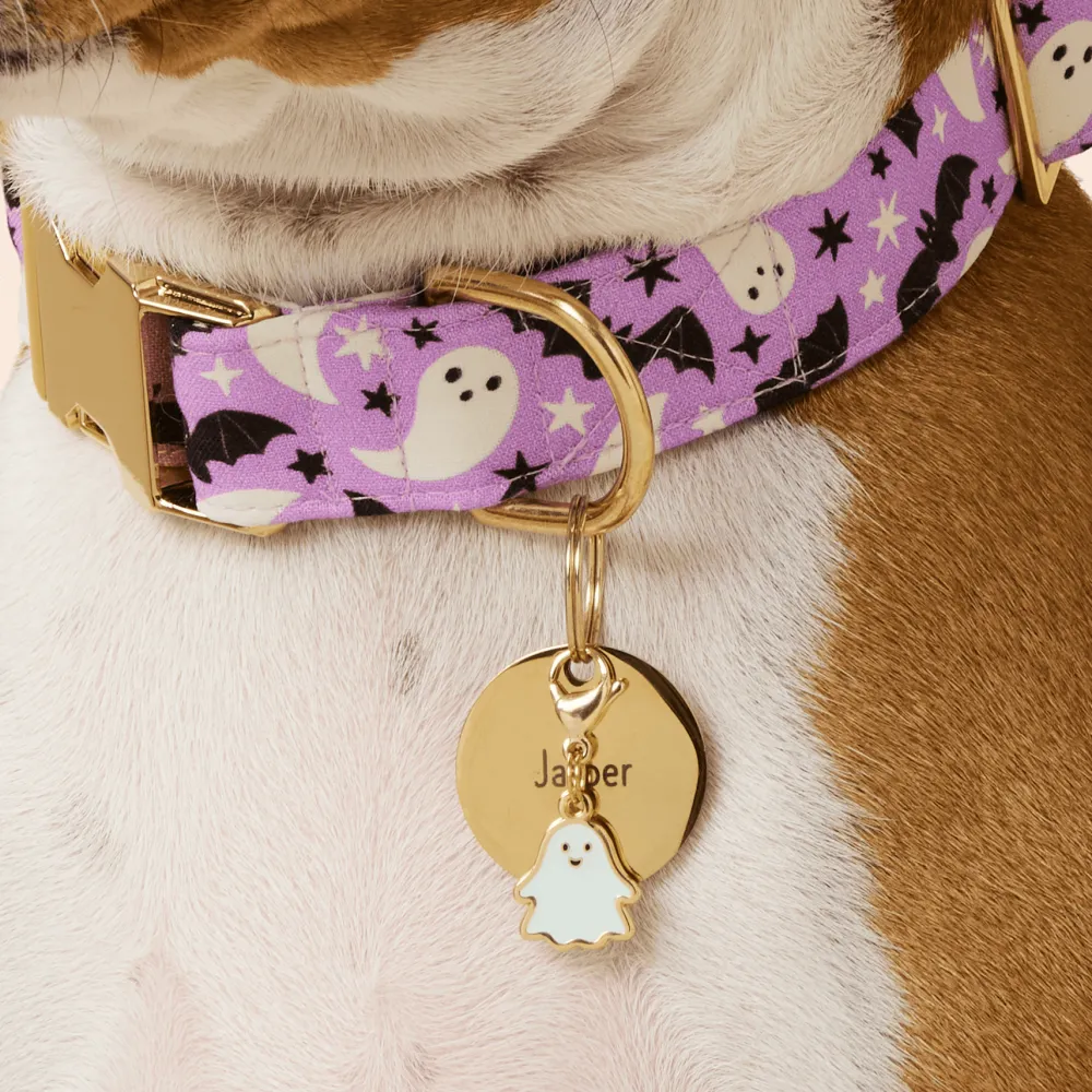 Discount The Foggy Dog Halloween Favorites Collar Charm Set