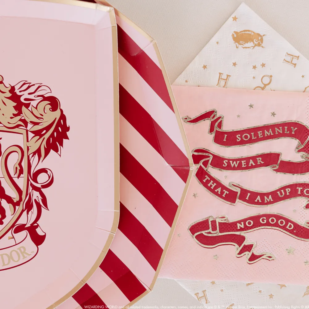 Sale Bonjour Fete Harry Potter X House Pride Small Party Napkins
