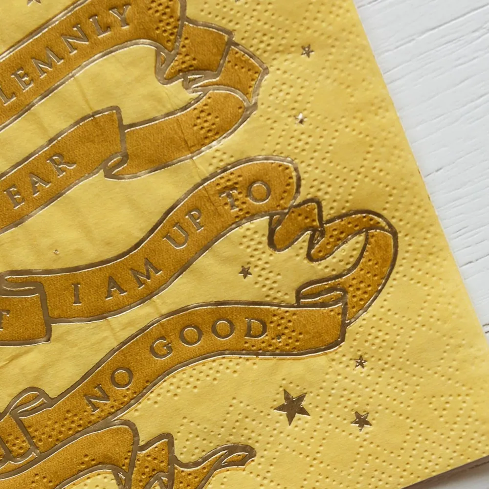 Sale Bonjour Fete Harry Potter X House Pride Small Party Napkins