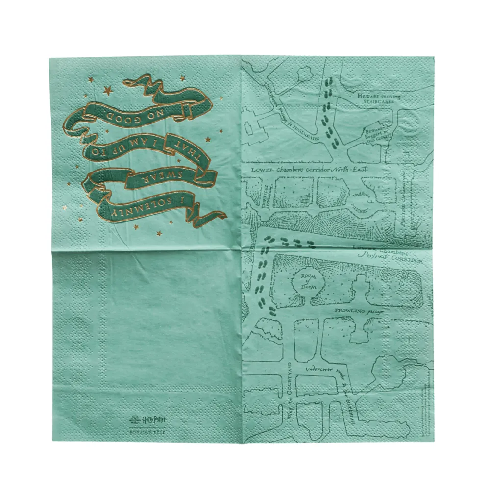 Sale Bonjour Fete Harry Potter X House Pride Small Party Napkins