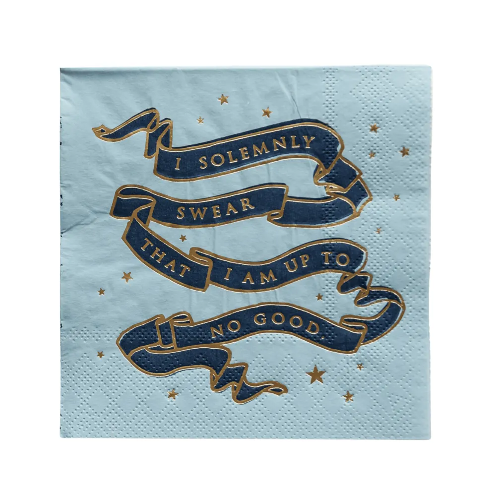 Sale Bonjour Fete Harry Potter X House Pride Small Party Napkins