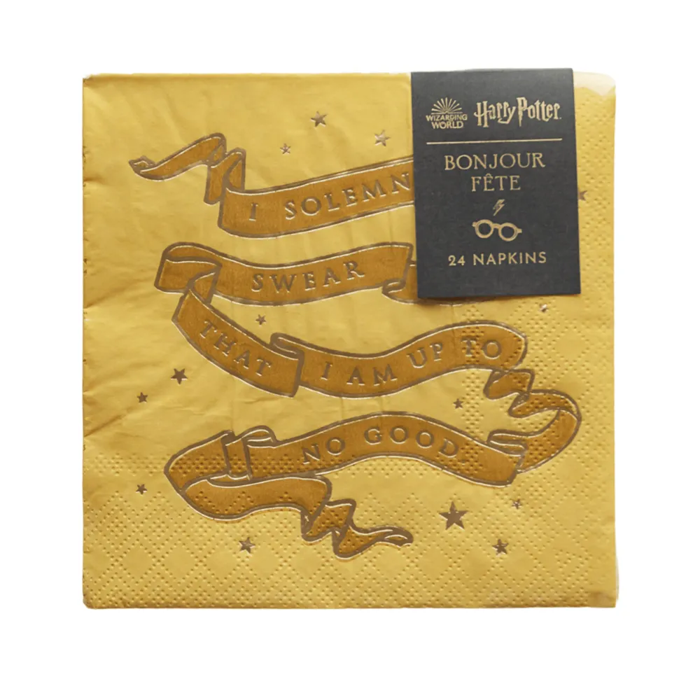 Sale Bonjour Fete Harry Potter X House Pride Small Party Napkins