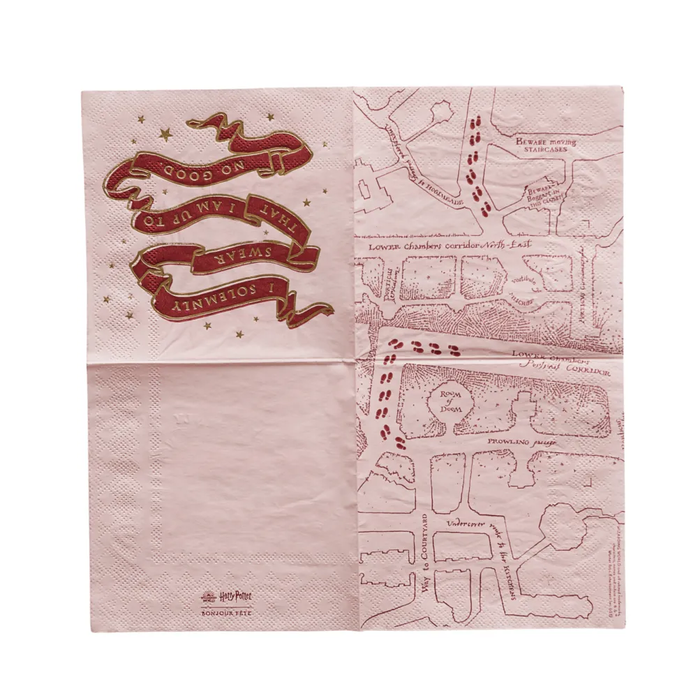 Sale Bonjour Fete Harry Potter X House Pride Small Party Napkins