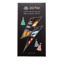 Outlet Bonjour Fete Harry Potter X House Pride Party Hats