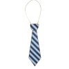 Discount Bonjour Fete Harry Potter X House Pride Multicolor Hogwarts Ties