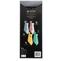 Discount Bonjour Fete Harry Potter X House Pride Multicolor Hogwarts Ties