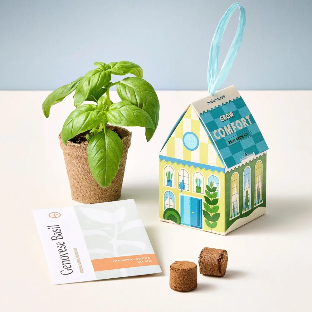 Discount Modern Sprout Herb Grow Kit Ornament