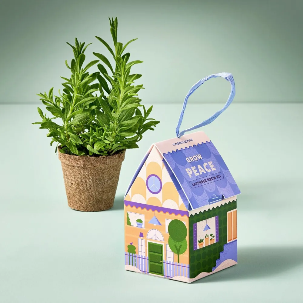 Discount Modern Sprout Herb Grow Kit Ornament