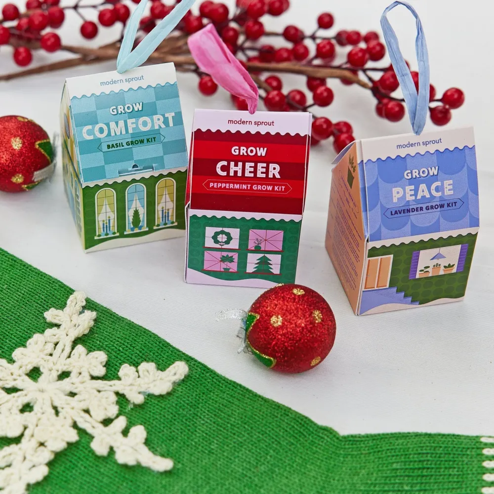 Discount Modern Sprout Herb Grow Kit Ornament