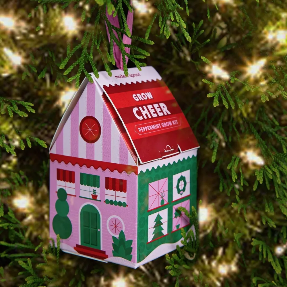 Discount Modern Sprout Herb Grow Kit Ornament