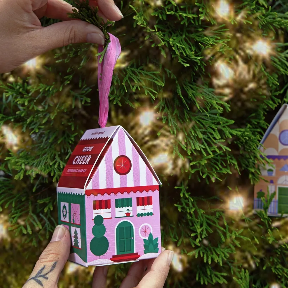 Discount Modern Sprout Herb Grow Kit Ornament