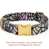 Discount The Foggy Dog Holographic Spiderweb Bow Tie Collar