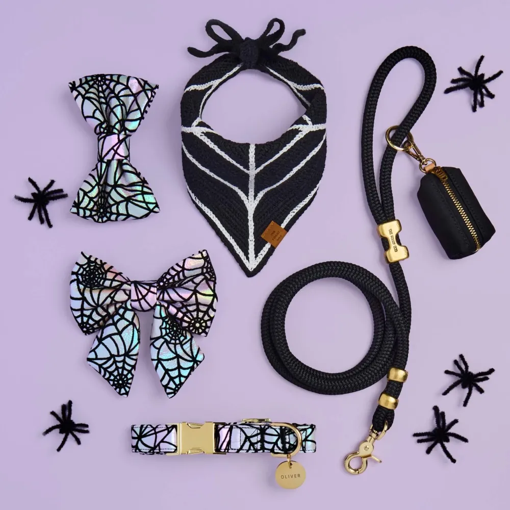 Discount The Foggy Dog Holographic Spiderweb Bow Tie Collar