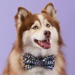 The Foggy Dog Holographic Spiderweb Dog Bow Tie