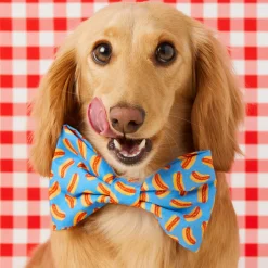 Outlet The Foggy Dog Hot Diggity Bow Tie Collar