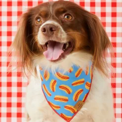 Sale The Foggy Dog Hot Diggity Dog Bandana