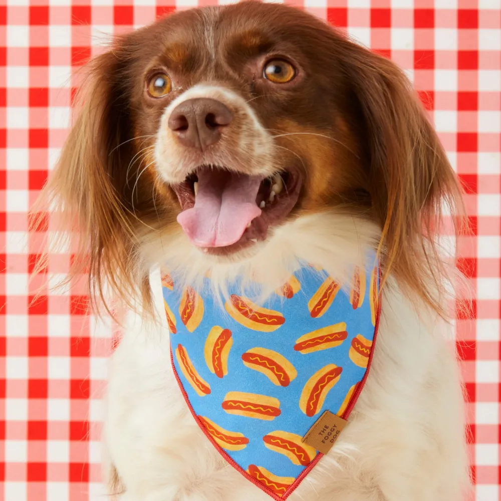 Sale The Foggy Dog Hot Diggity Dog Bandana