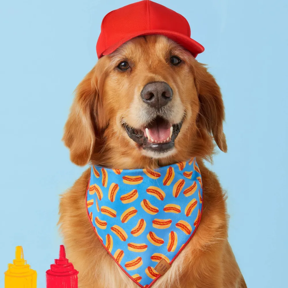 Sale The Foggy Dog Hot Diggity Dog Bandana