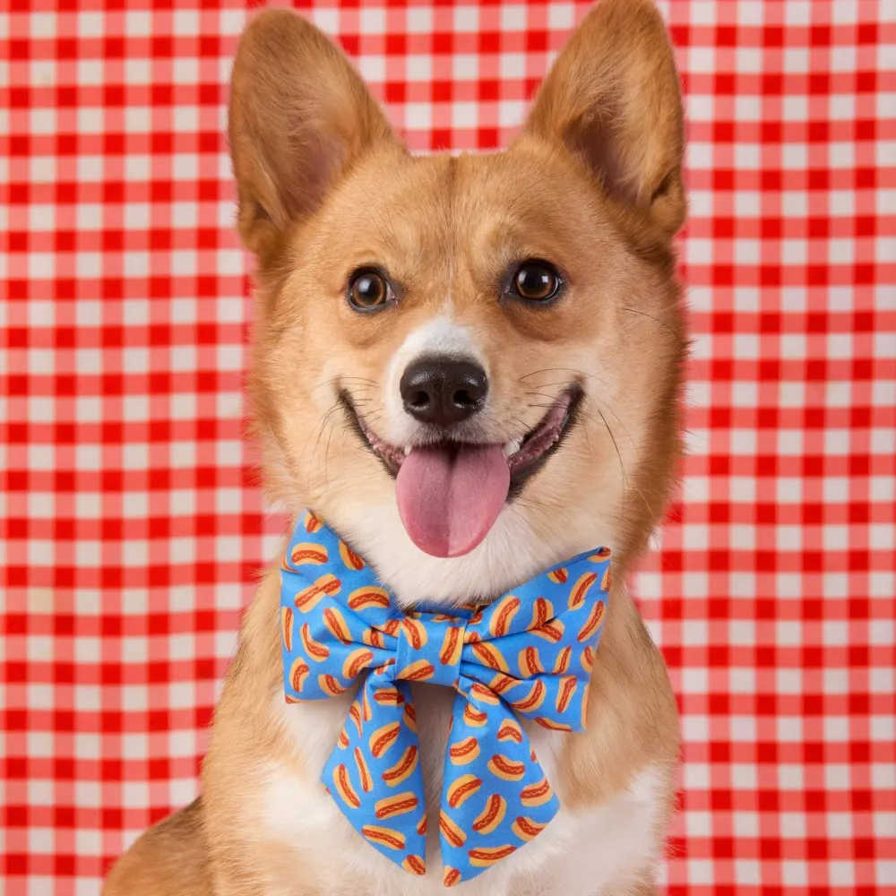 Best The Foggy Dog Hot Diggity Lady Bow Collar