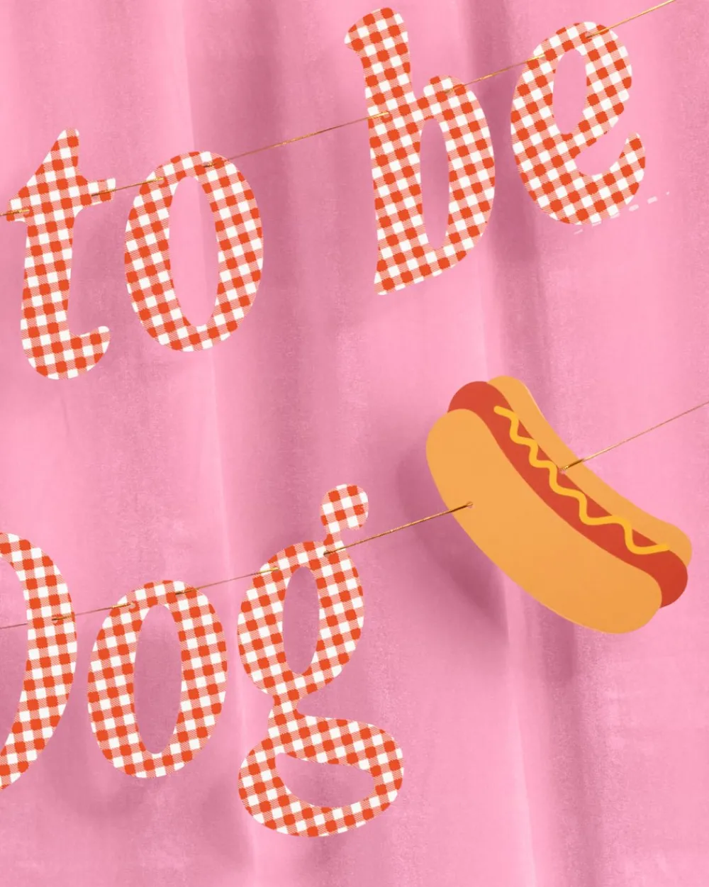 Clearance xo, Fetti Hot Dog Banner