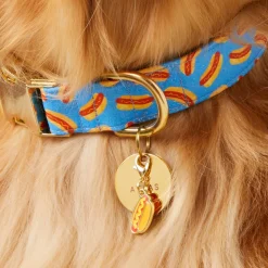 The Foggy Dog Hot Dog Collar Charm