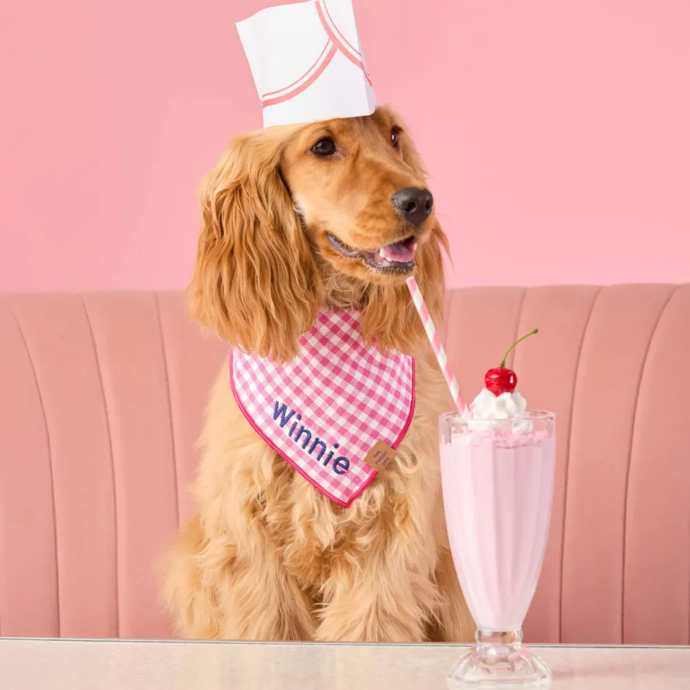 Outlet The Foggy Dog Hot Pink Gingham Dog Bandana