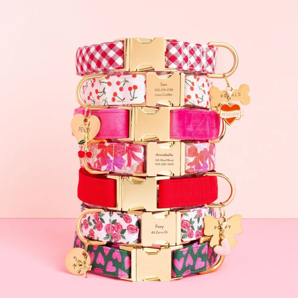 Outlet The Foggy Dog Hot Pink Gingham Dog Collar
