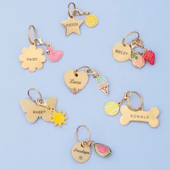 Outlet The Foggy Dog Ice Cream Collar Charm