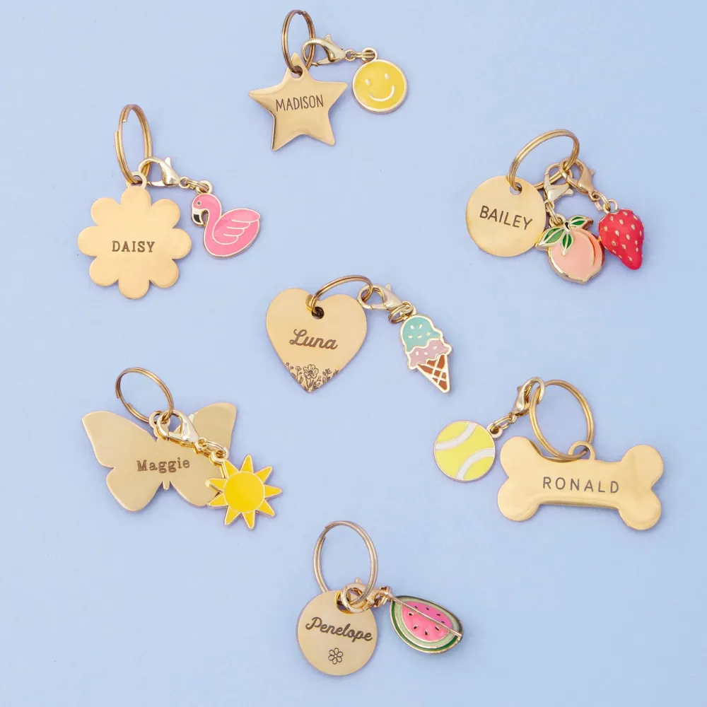 Outlet The Foggy Dog Ice Cream Collar Charm