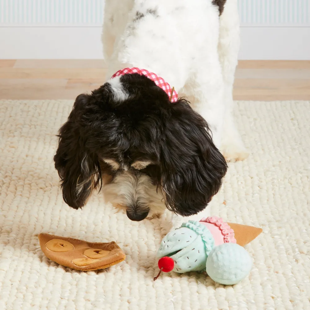 Sale The Foggy Dog Ice Cream Interactive Snuffle Dog Toy