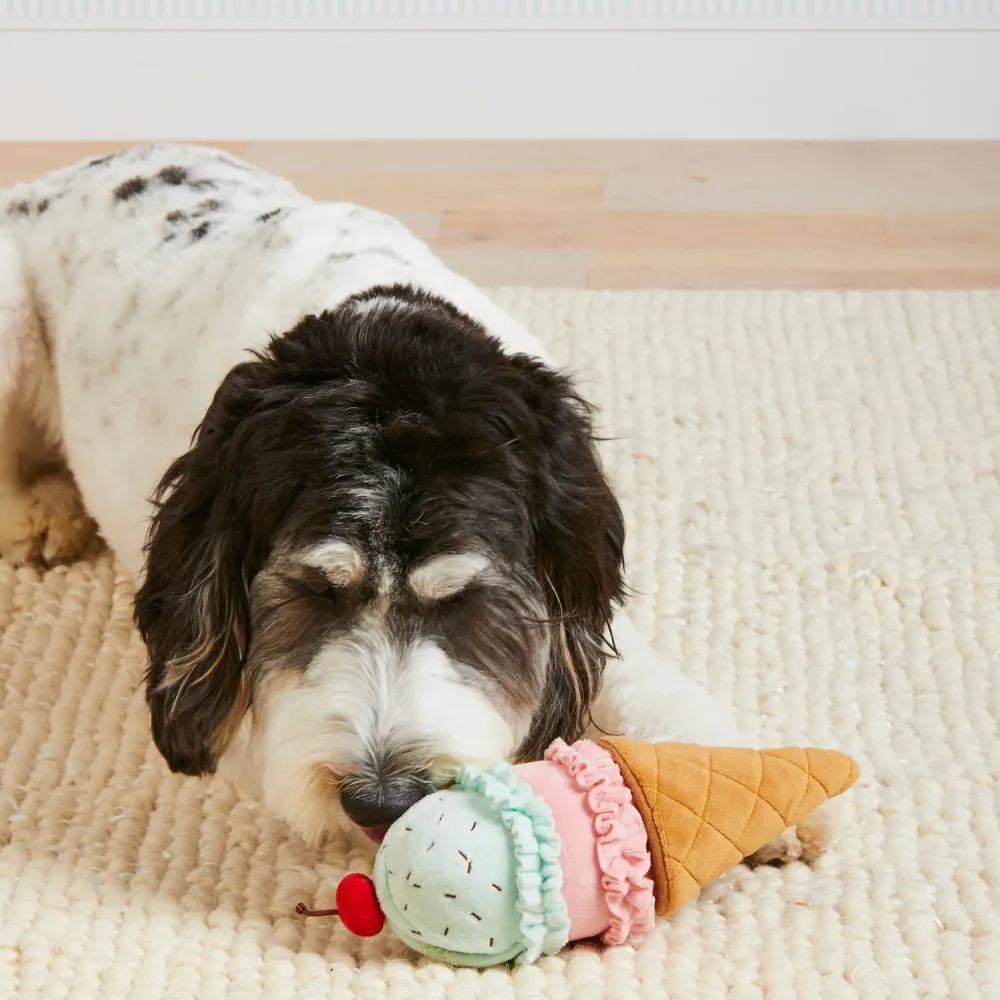 Sale The Foggy Dog Ice Cream Interactive Snuffle Dog Toy