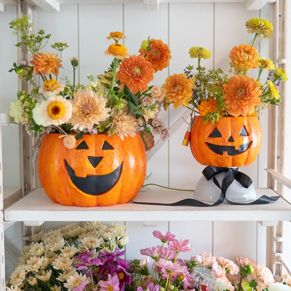 Outlet Mud Pie Jack-O-Lantern Treat Bucket Set