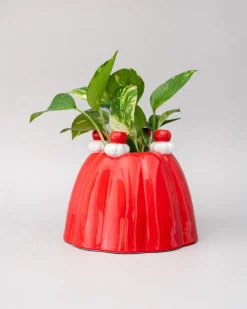 Online ban.do Jelly Dessert Vase