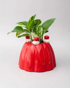 Online ban.do Jelly Dessert Vase