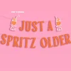 Hot xo, Fetti Just a Spritz Older Birthday Banner