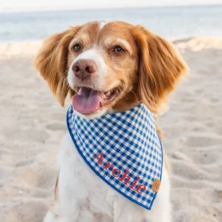 Best The Foggy Dog Lake Blue Gingham Dog Bandana