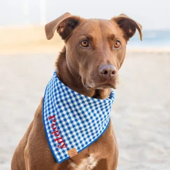 Best The Foggy Dog Lake Blue Gingham Dog Bandana