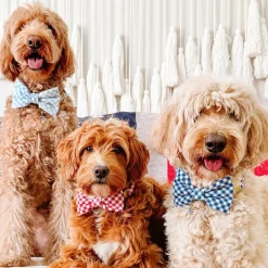 Online The Foggy Dog Lake Blue Gingham Dog Bow Tie Collar