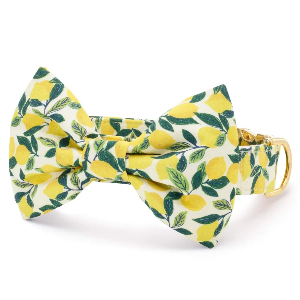New The Foggy Dog Lemon Zest Bow Tie Collar