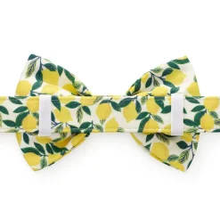 Discount The Foggy Dog Lemon Zest Dog Bow Tie