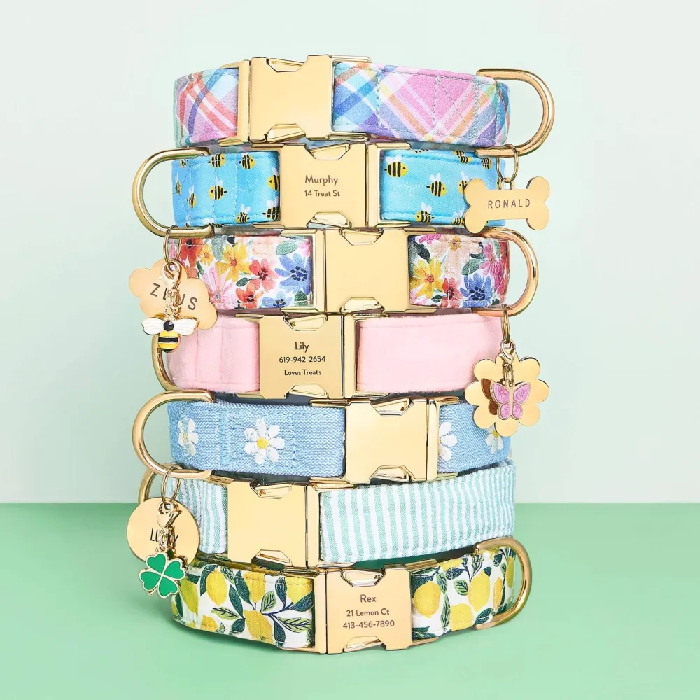 Outlet The Foggy Dog Lemon Zest Dog Collar