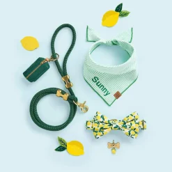 Outlet The Foggy Dog Lemon Zest Dog Collar
