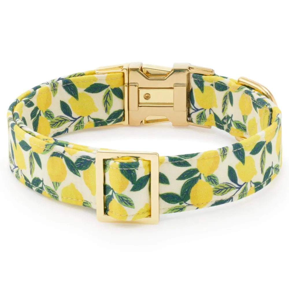 Outlet The Foggy Dog Lemon Zest Dog Collar