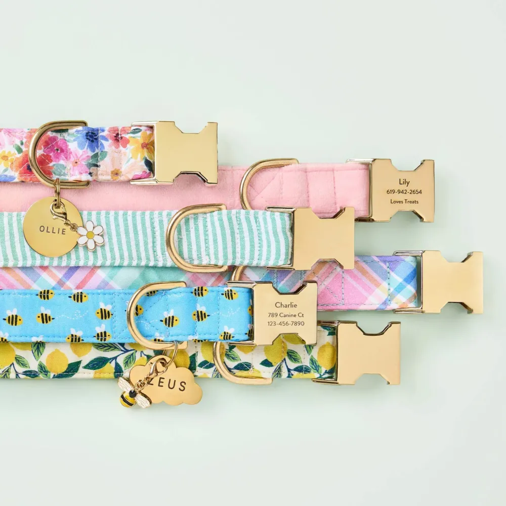 Outlet The Foggy Dog Lemon Zest Dog Collar