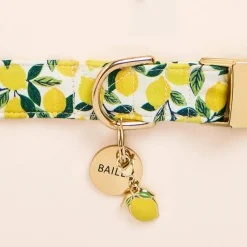 Outlet The Foggy Dog Lemon Zest Dog Collar