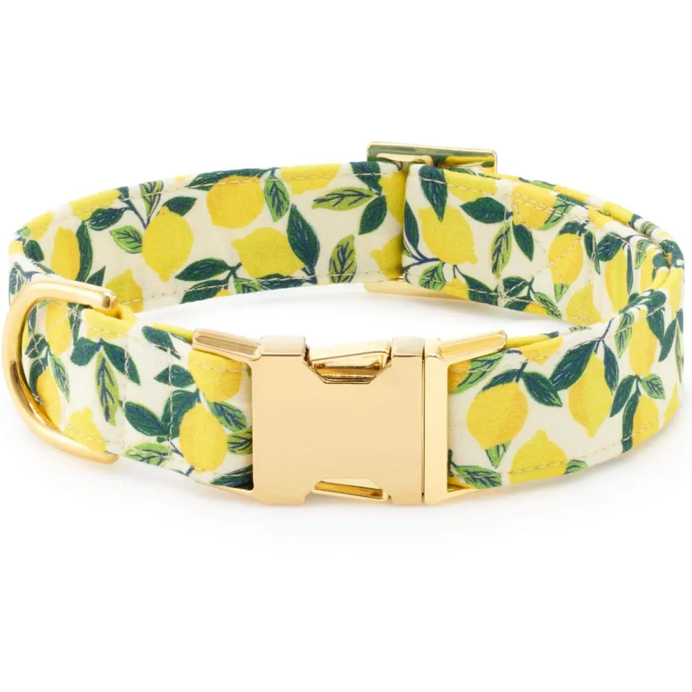 Outlet The Foggy Dog Lemon Zest Dog Collar